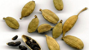 cardamomo