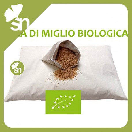 cuscino miglio