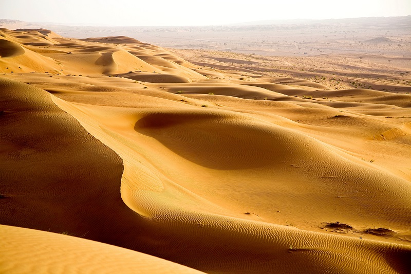 oman Wahiba Sands