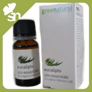 EUCALIPTO