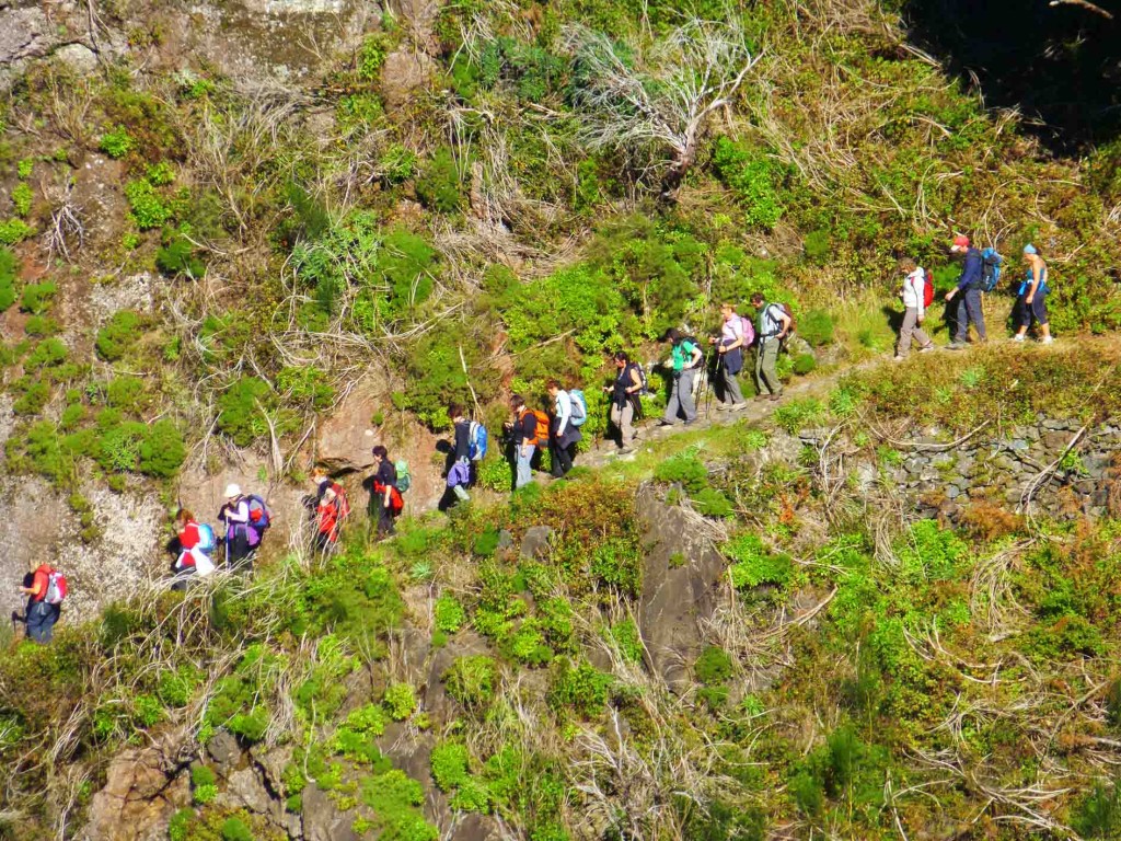 trekking a madeira