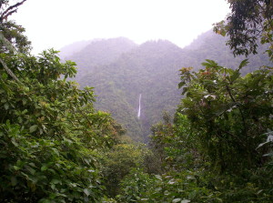 Tapanti costarica