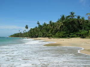 Playa_de_Punta_Uva,_Costa_Rica