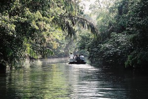 Tortuguero_boat costarica