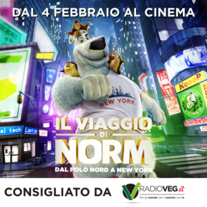 Il Viaggio di Norm