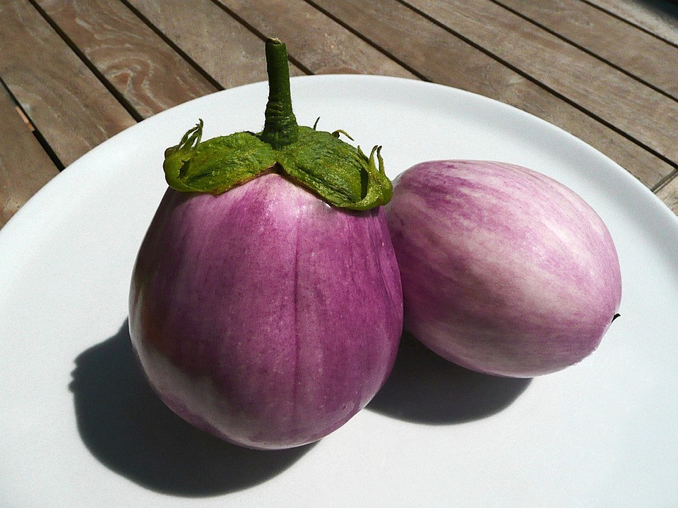 melanzane coltivazione