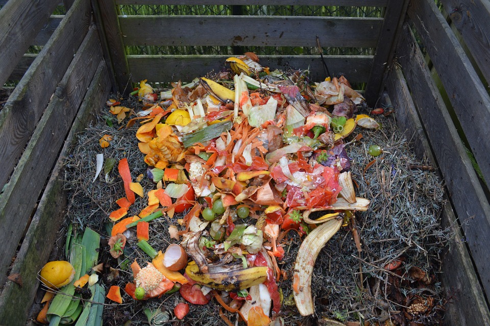 COMPOST BIODINAMICO