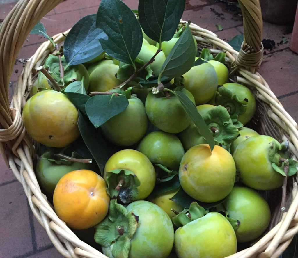 marmellata di cachi