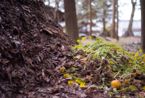 preparati biodinamici compost