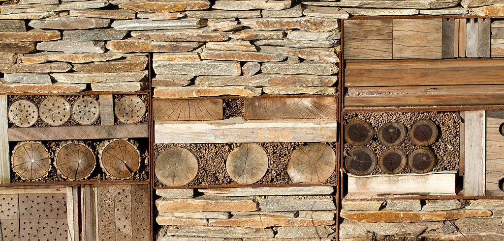 bug hotel