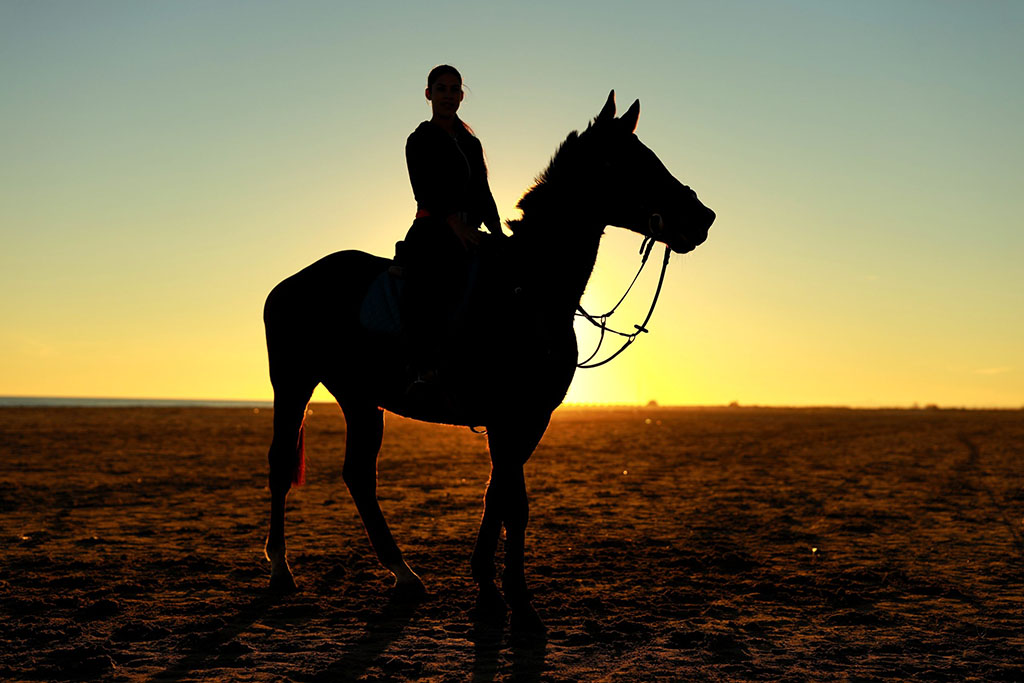 Cavallo al tramonto