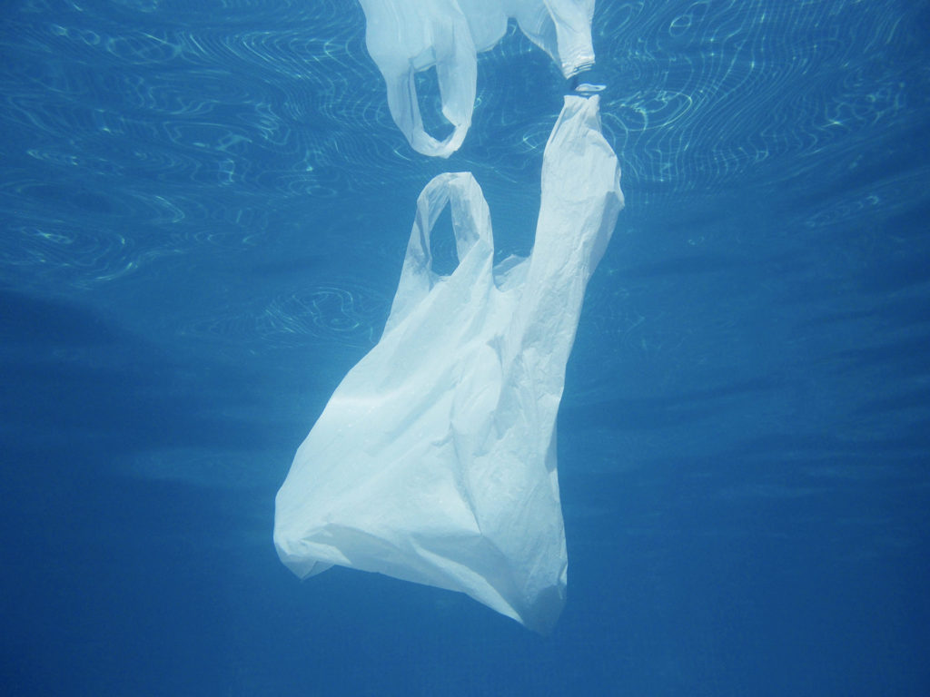 La plastica in mare costituisce un grosso rischio