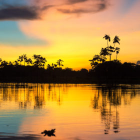 I colori del tramonto della Foresta amazzonica, in pericolo a causa dell'intensa deforestazione degli ultimi anni